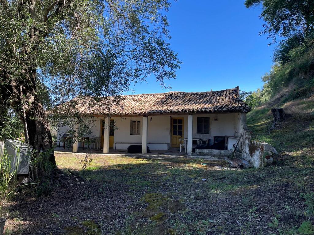 Terrain à Corfou, Grèce, 4 132 m² - image 1