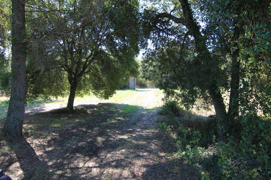Land in Corfu, Greece, 27 750 m² - picture 1