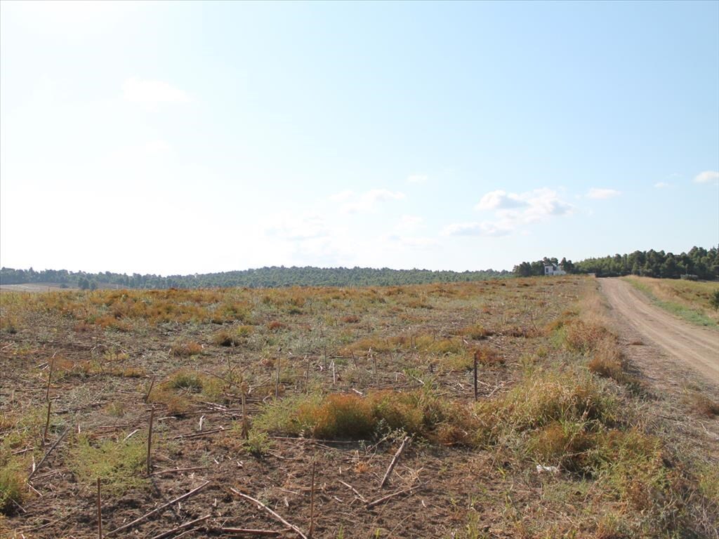 Terreno en Kassandra, Grecia, 4 500 m² - imagen 1