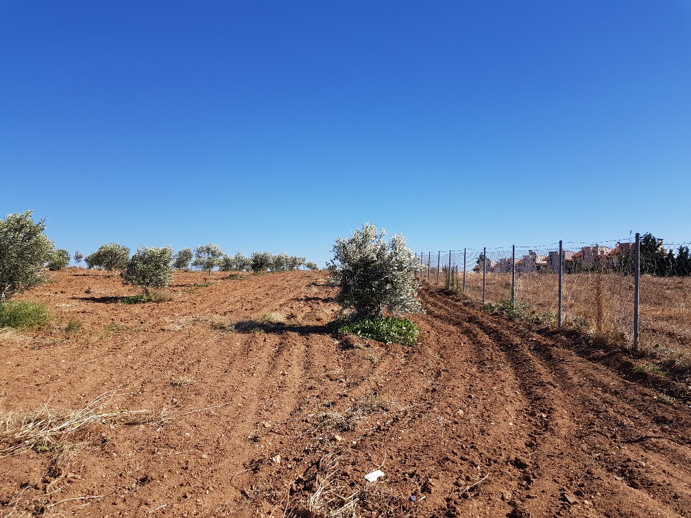Land in Chalkidiki, Greece, 5 500 m² - picture 1