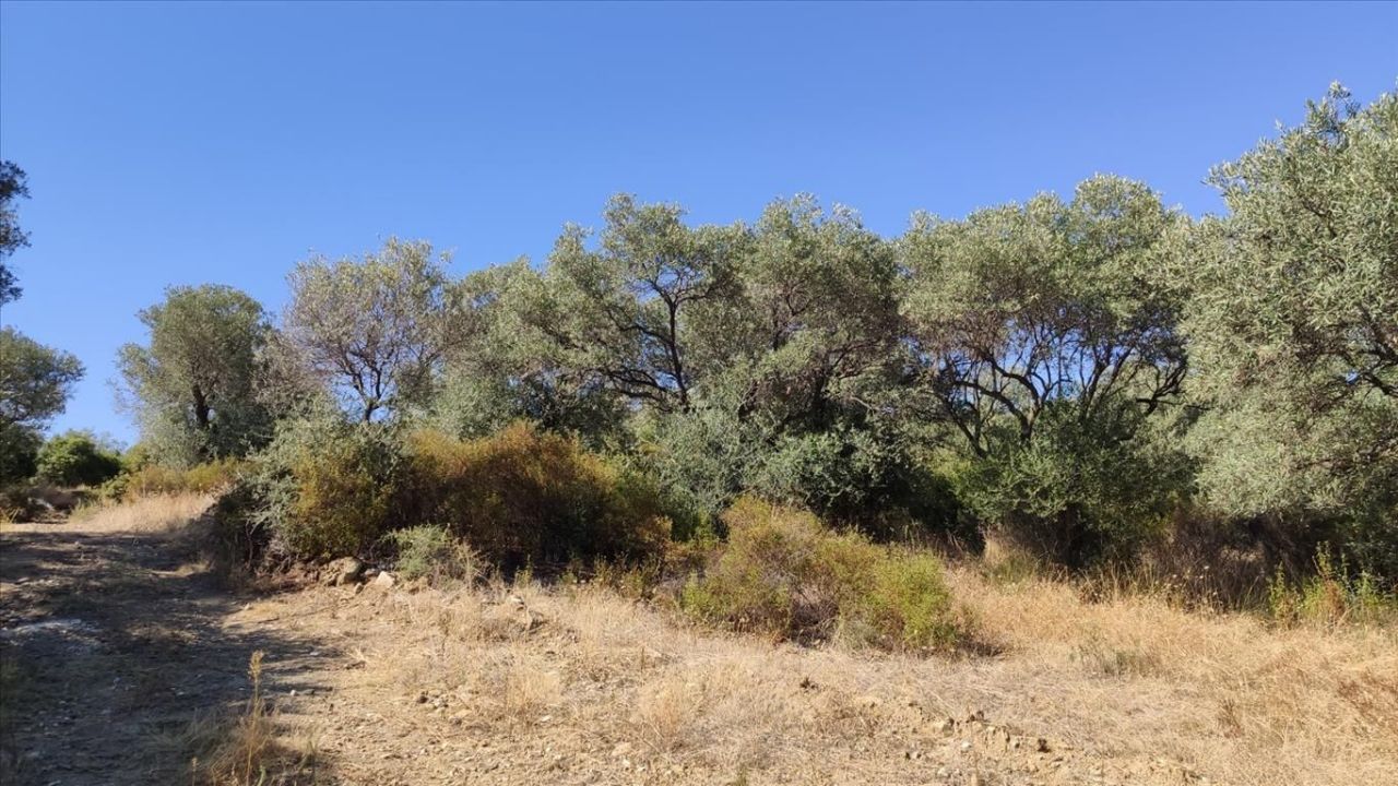 Grundstück in Chalkidiki, Griechenland, 12 750 m² - Foto 1