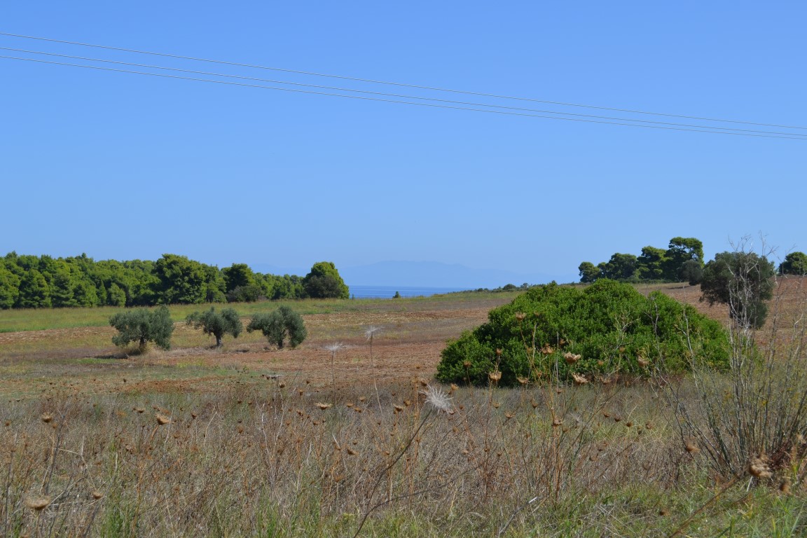 Terreno en Kassandra, Grecia, 4 380 m² - imagen 1
