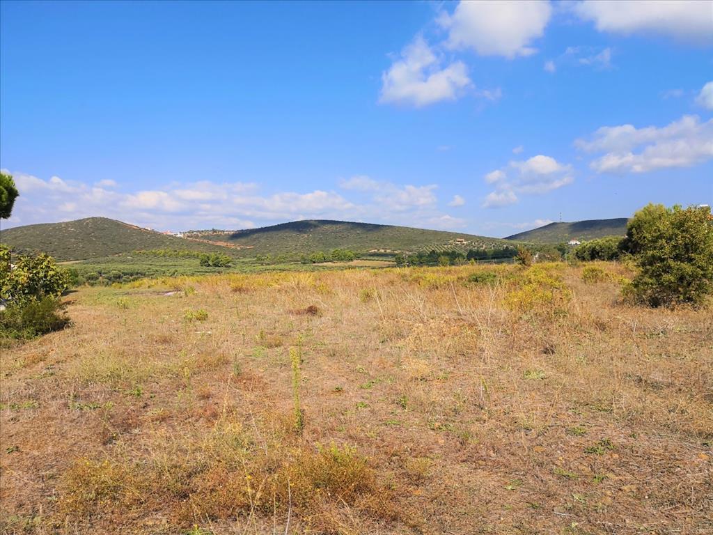 Grundstück in Sithonia, Griechenland, 30 600 m² - Foto 1