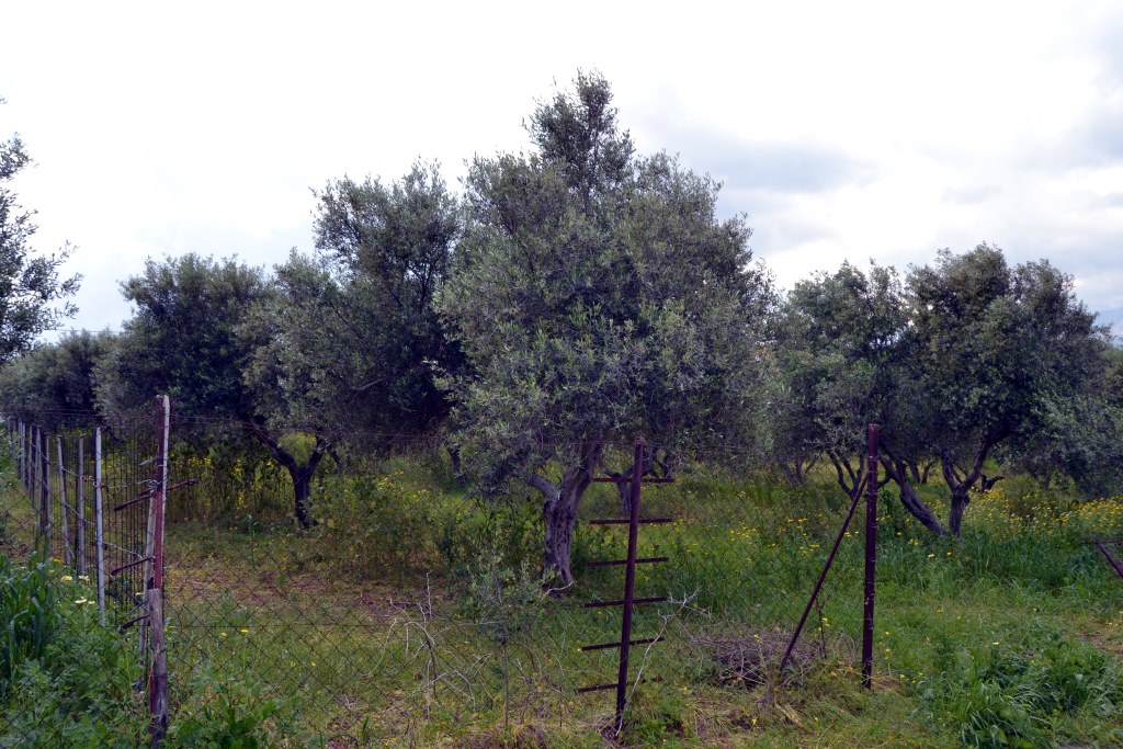 Terrain à Héraklion, Grèce, 4 500 m² - image 1