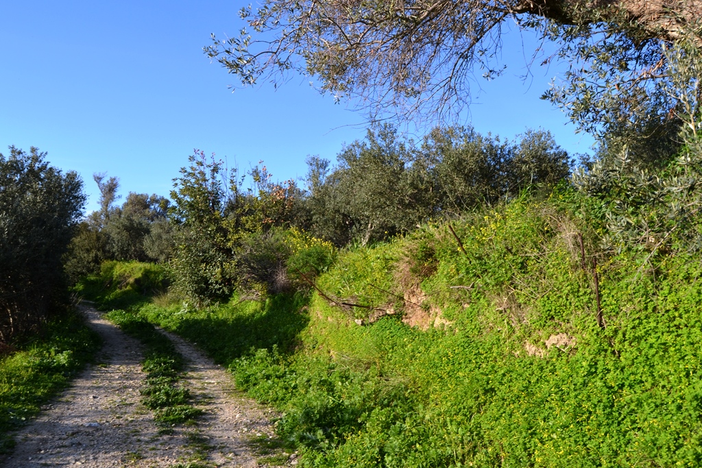 Land in Heraklion, Greece, 5 500 m² - picture 1