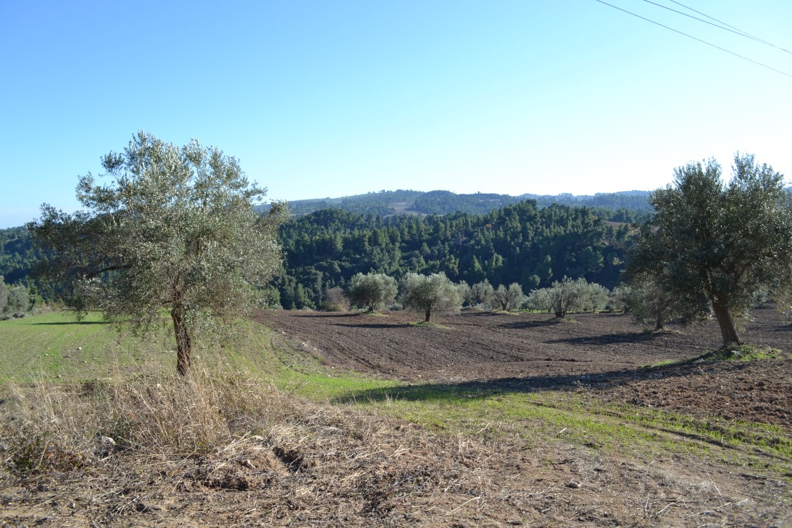 Terrain à Kassandra, Grèce, 11 738 m² - image 1