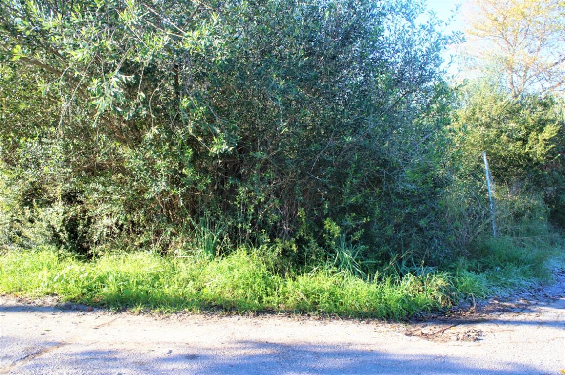 Grundstück in Korfu, Griechenland, 4 000 m² - Foto 1