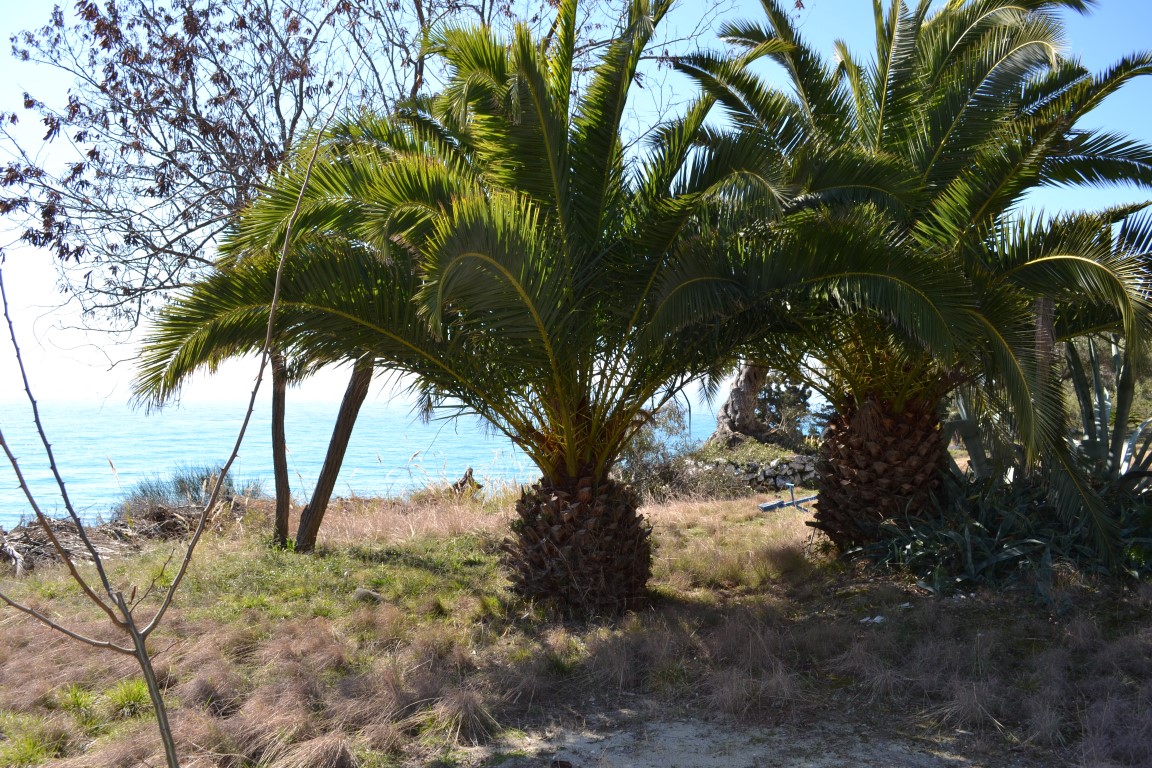 Haus in Kassandra, Griechenland, 82 m² - Foto 1