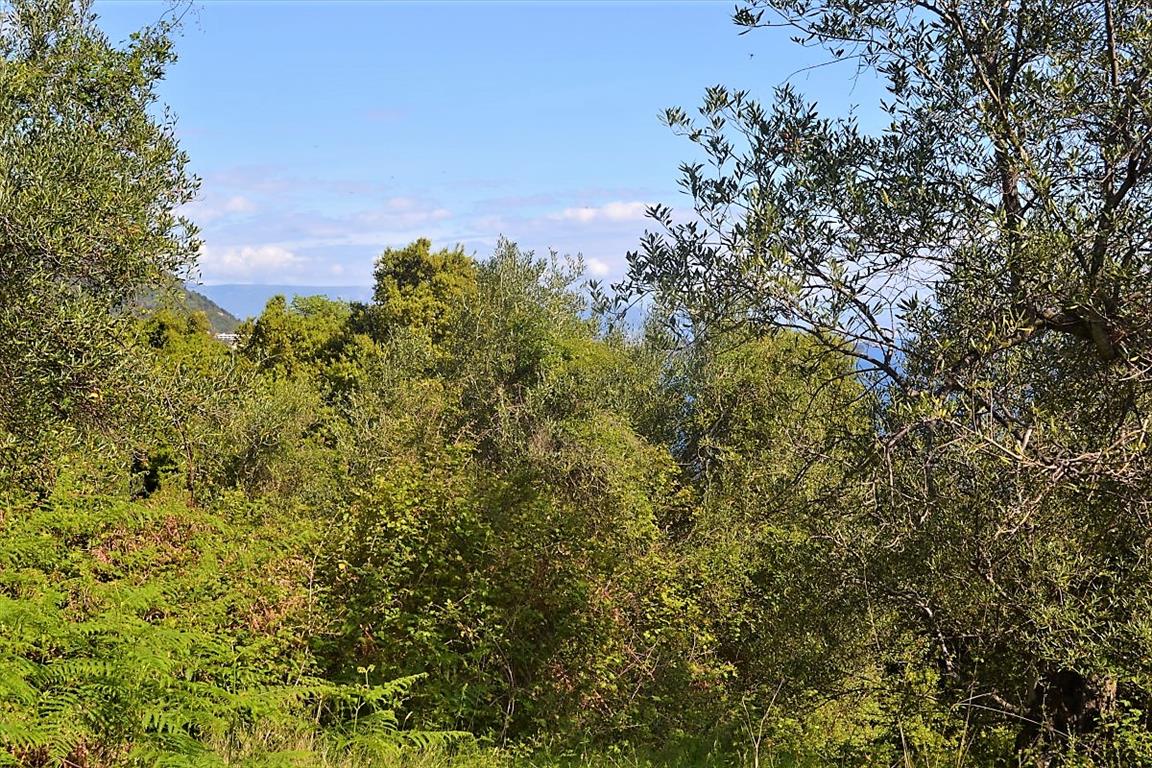 Grundstück in Korfu, Griechenland, 9 500 m² - Foto 1