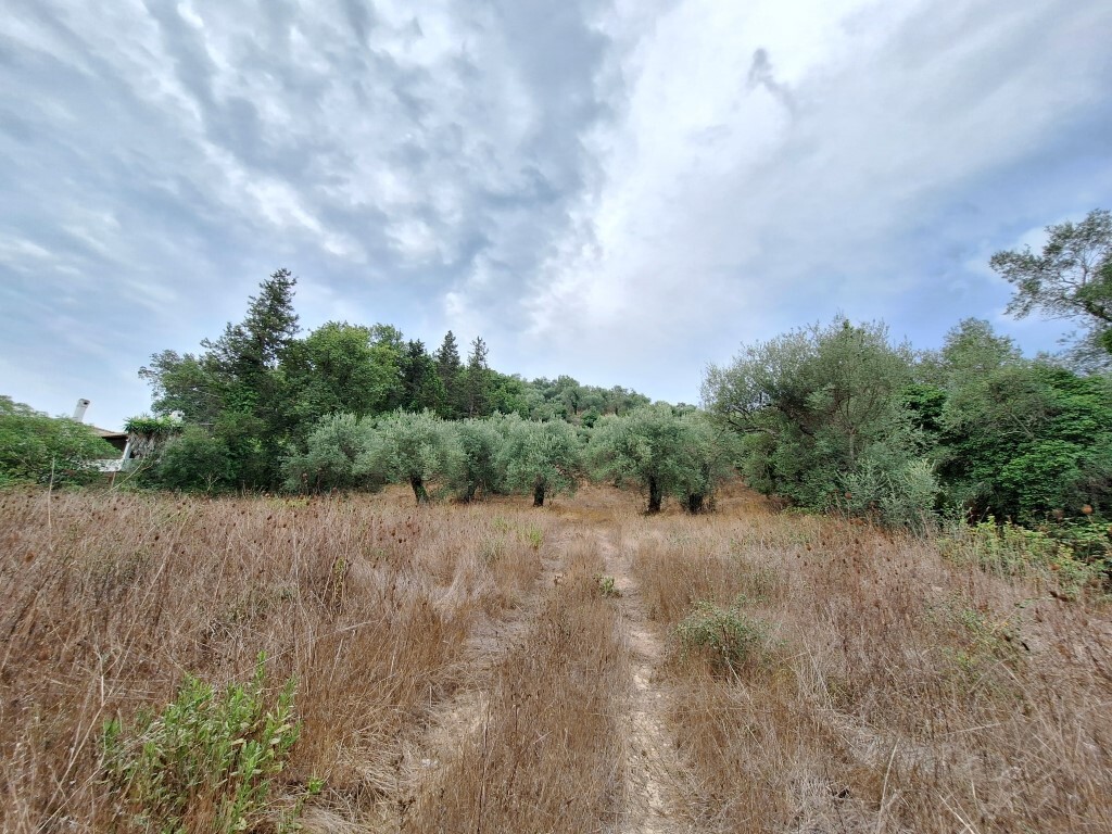 Grundstück in Korfu, Griechenland, 13 000 m² - Foto 1