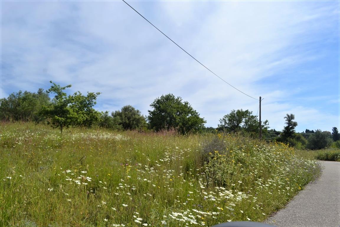 Land in Corfu, Greece, 12 044 m² - picture 1
