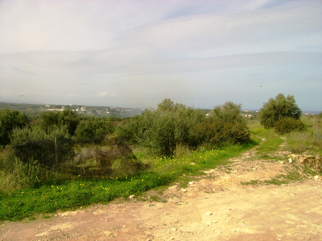 Grundstück in Heraklion, Griechenland, 6 700 m² - Foto 1