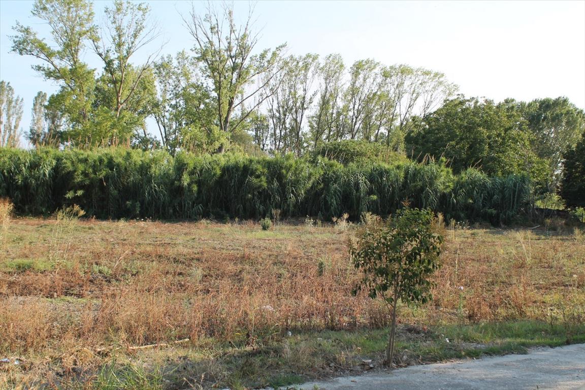 Terreno en Kassandra, Grecia, 2 500 m² - imagen 1