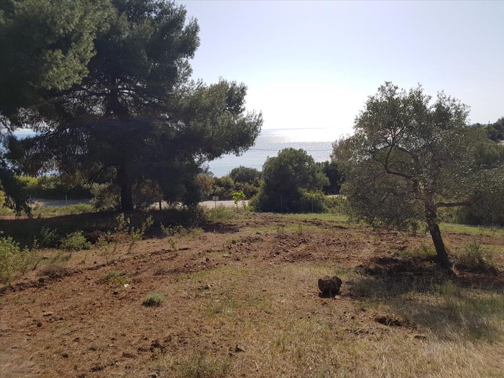 Grundstück in Sithonia, Griechenland, 6 500 m² - Foto 1