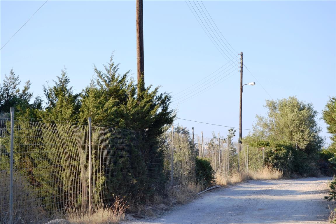 Terreno en Heraclión, Grecia, 10 270 m² - imagen 1