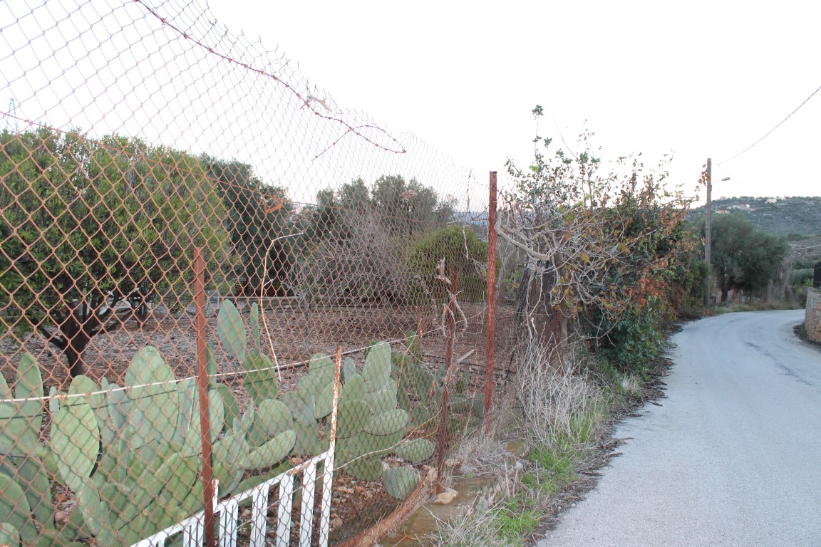 Terrain à Héraklion, Grèce, 2 372 m² - image 1
