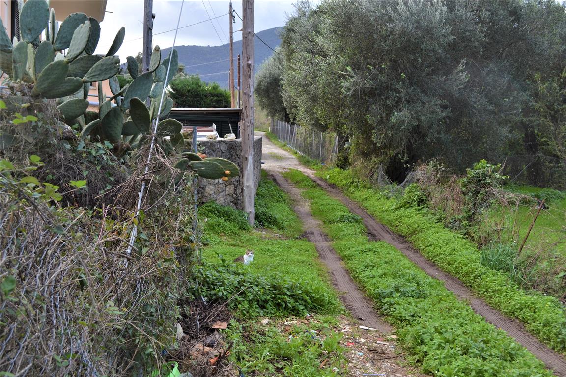 Terrain à Corfou, Grèce, 10 000 m² - image 1