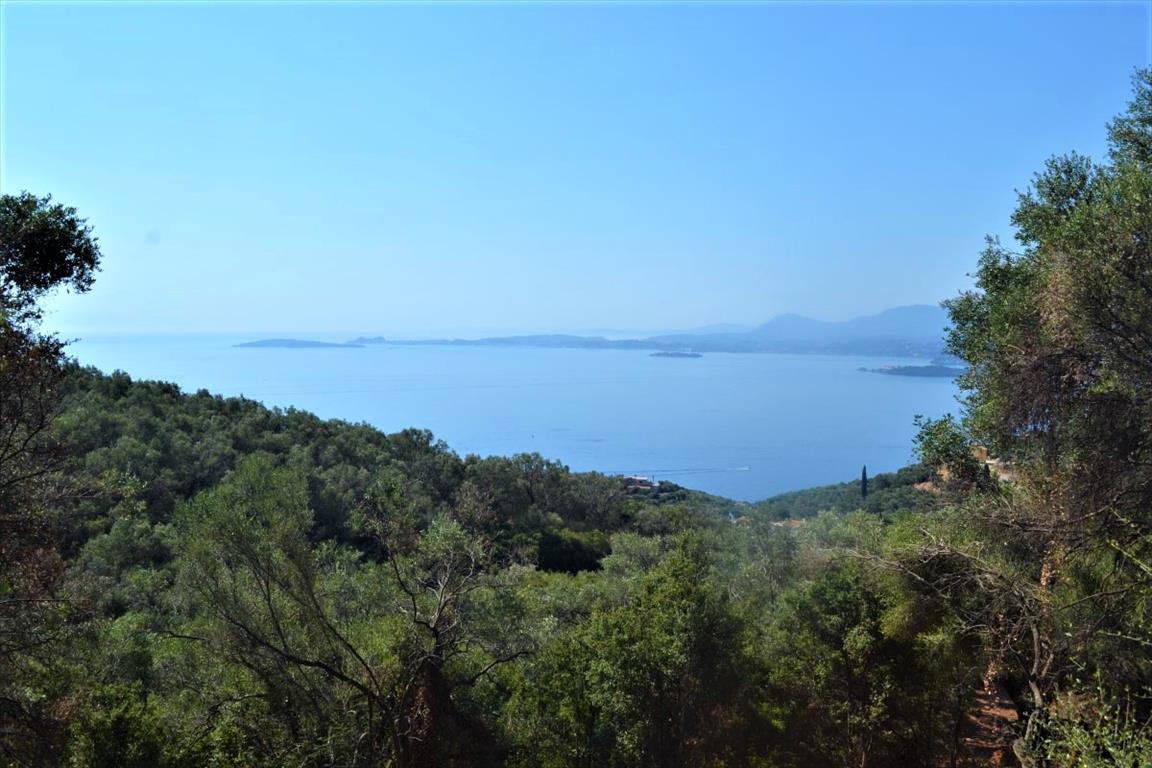 Terrain à Corfou, Grèce, 2 500 m² - image 1