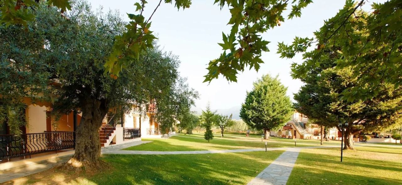 Hotel en Tasos, Grecia, 837 m² - imagen 15