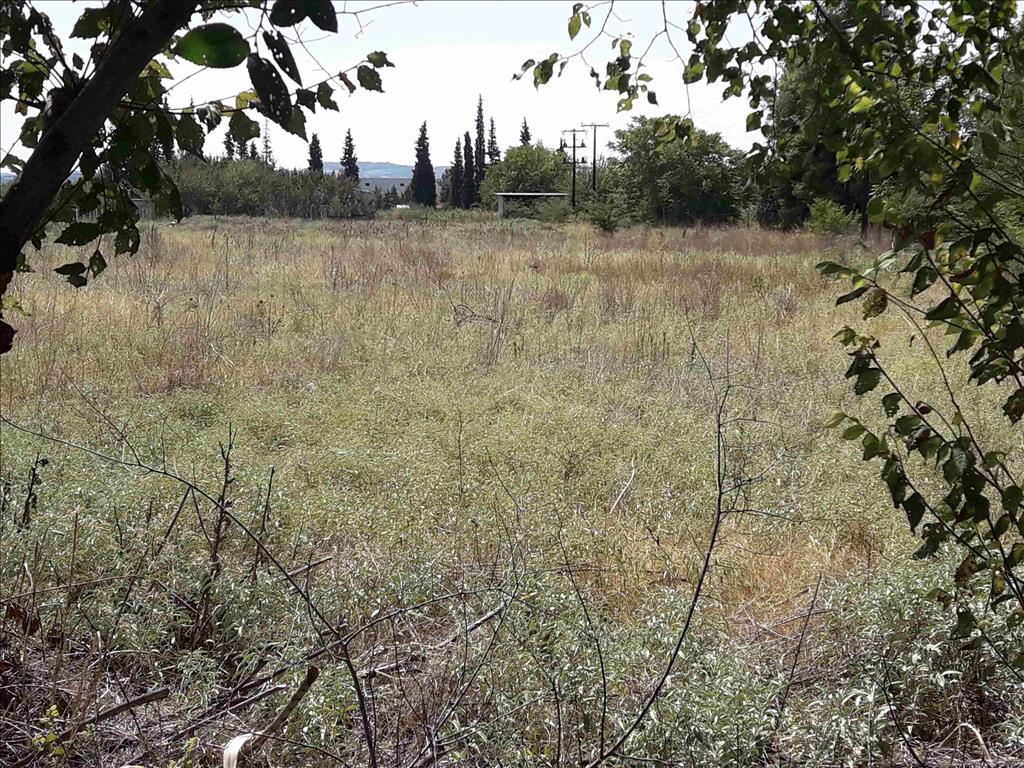 Terreno en Salónica, Grecia, 5 908 m² - imagen 1