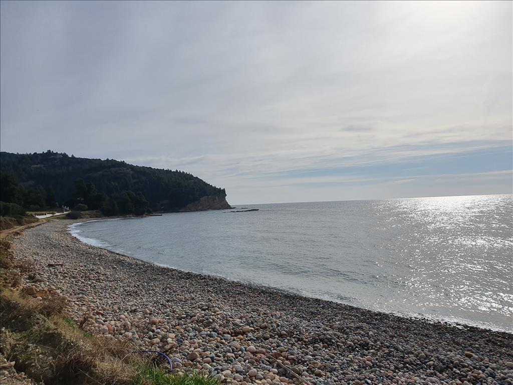 Grundstück in Kassandra, Griechenland, 10 000 m² - Foto 1