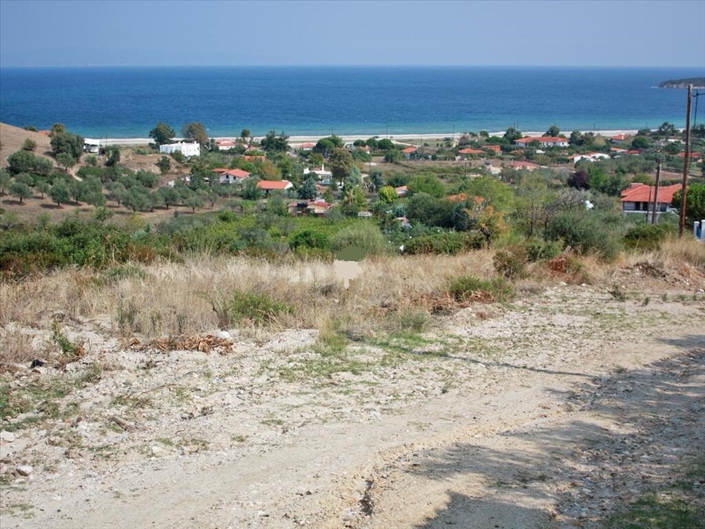 Terrain en Sithonie, Grèce, 5 980 m² - image 1
