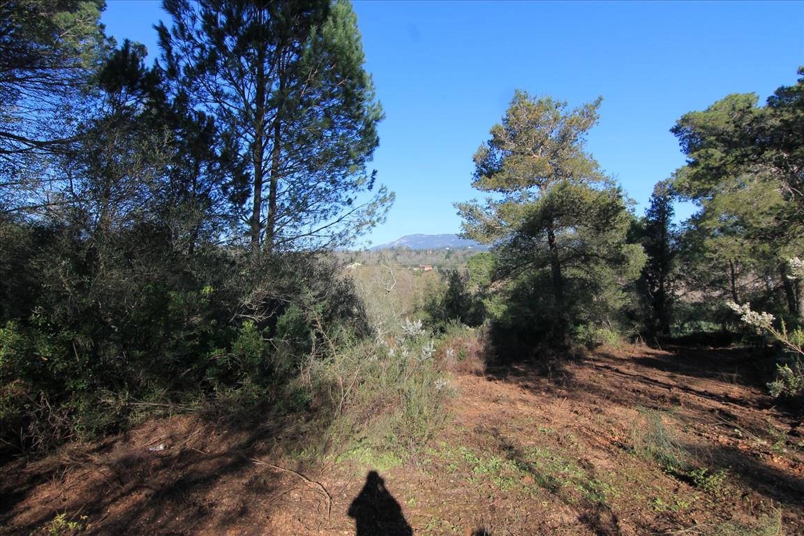 Land in Corfu, Greece, 11 017 m² - picture 2