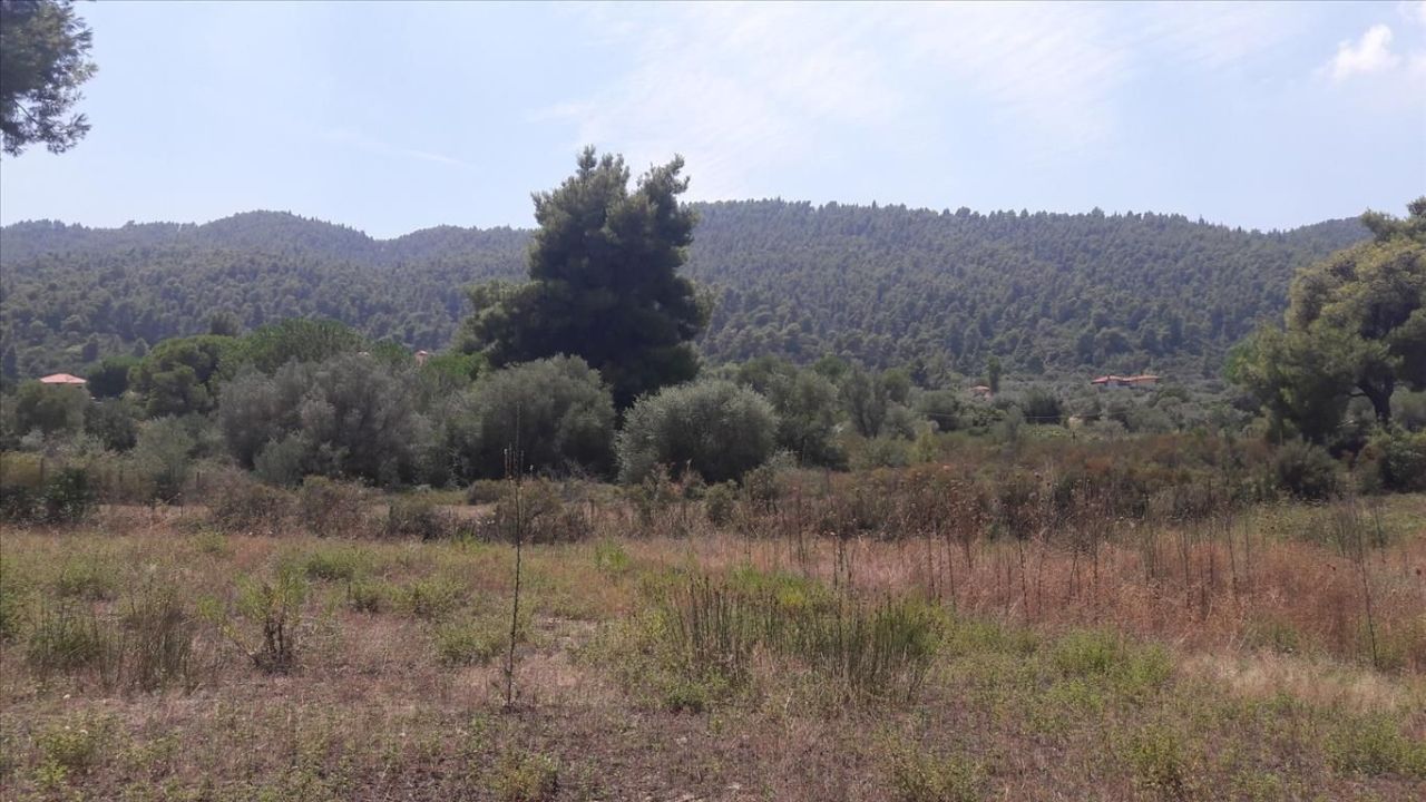 Land in Sithonia, Greece, 6 013 m² - picture 2