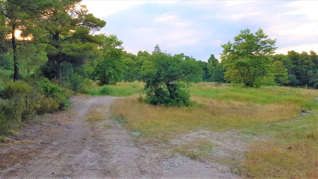 Grundstück in Sithonia, Griechenland, 19 895 m² - Foto 2