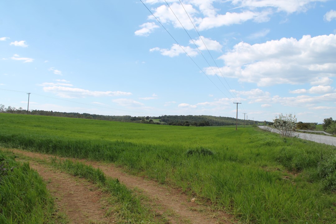 Terreno a Kassandra, Grecia, 7 500 m2 - foto 2