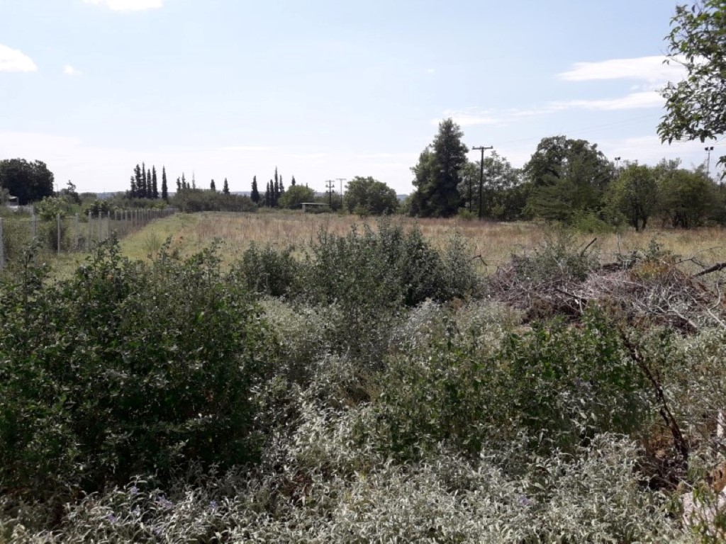 Terreno a Salonicco, Grecia, 5 908 m2 - foto 3