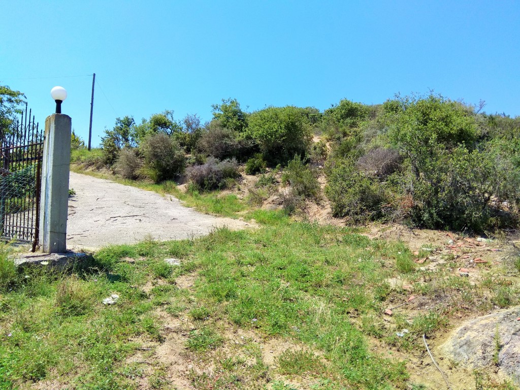 Land in Chalkidiki, Greece, 4 300 m² - picture 3