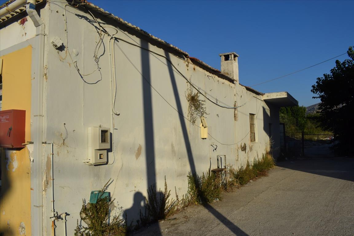 Land in Heraklion, Greece, 4 834 m² - picture 3