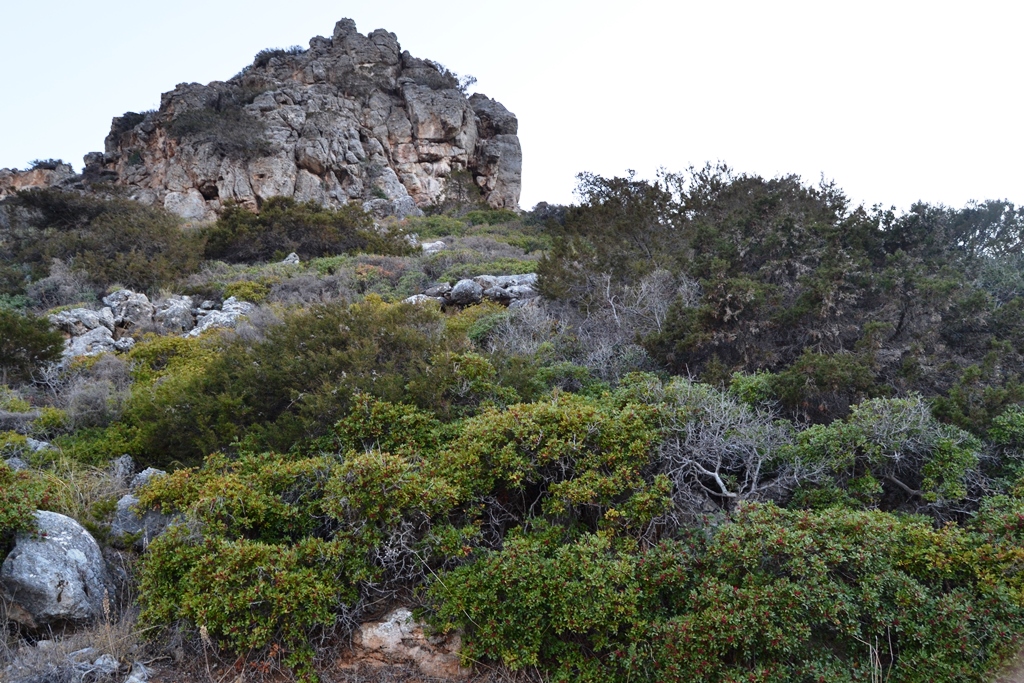 Terrain à Héraklion, Grèce, 4 616 m² - image 3