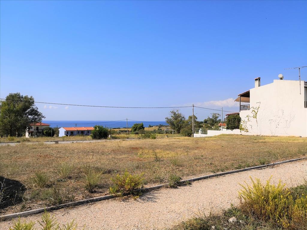 Terreno en Sitonia, Grecia, 30 600 m² - imagen 3