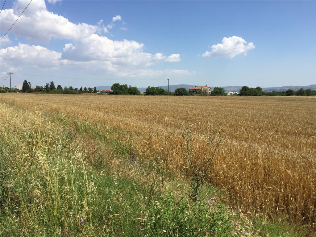 Grundstück in Thessaloniki, Griechenland, 16 000 m² - Foto 3