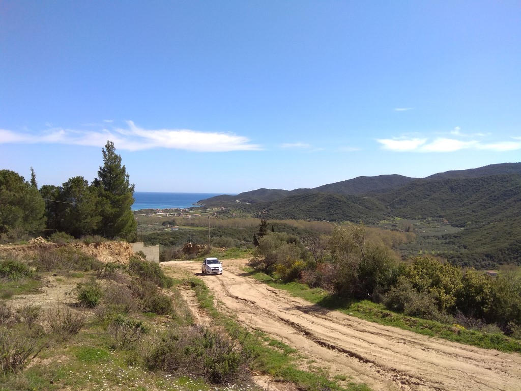 Land in Sithonia, Greece, 10 000 m² - picture 4