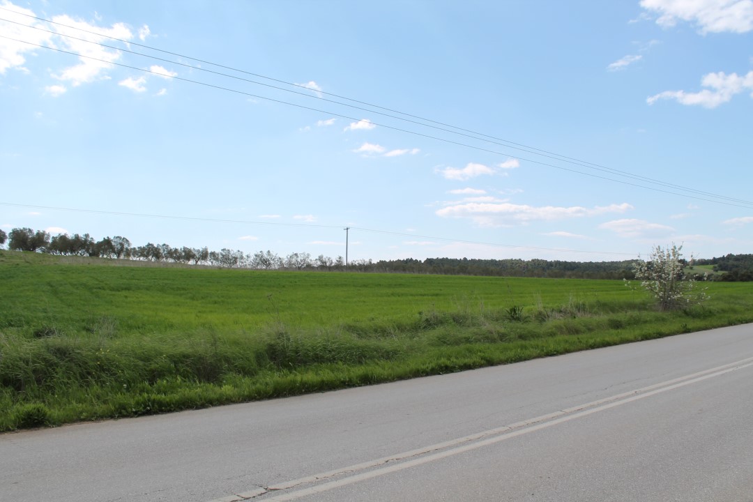 Terreno a Kassandra, Grecia, 7 500 m2 - foto 4