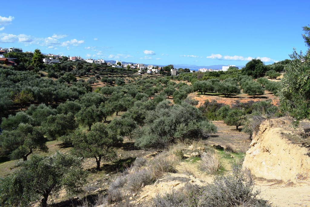 Terrain à Héraklion, Grèce, 9 848 m² - image 4