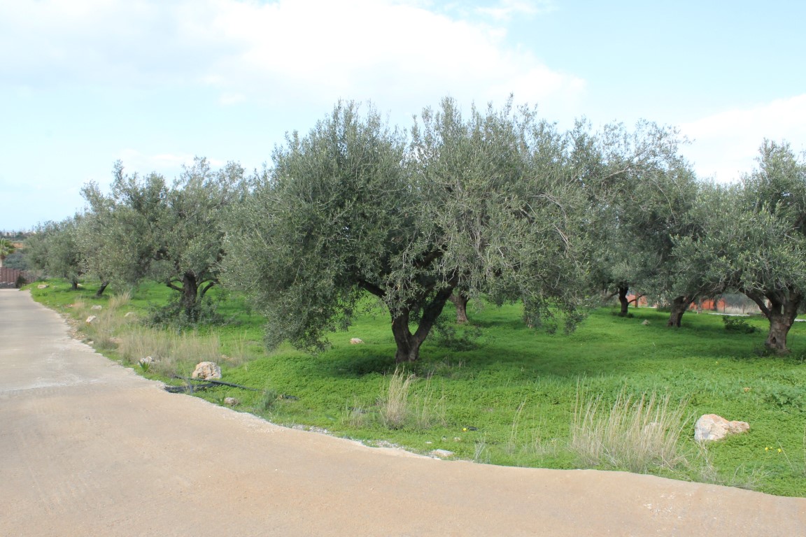 Grundstück in Heraklion, Griechenland, 2 456 m² - Foto 4