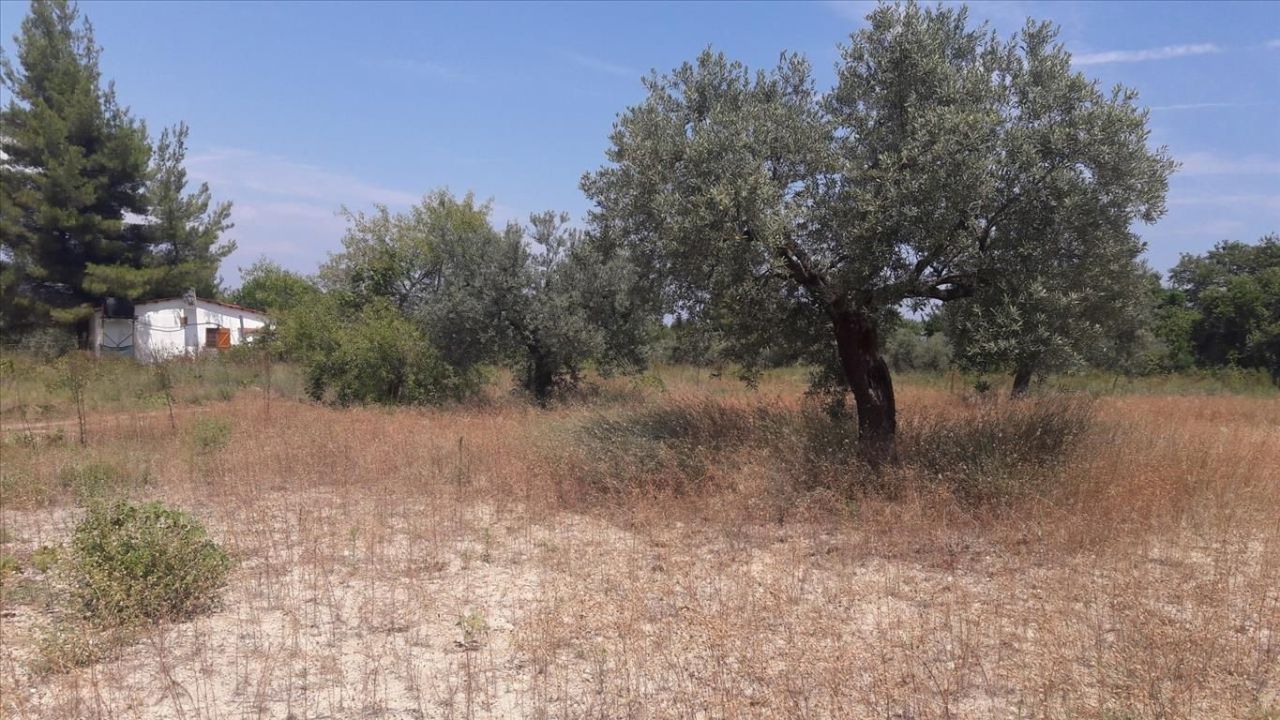 Land in Sithonia, Greece, 6 013 m² - picture 4