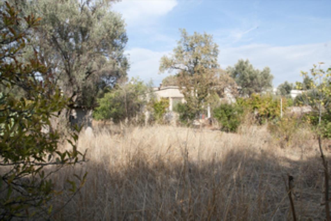Terrain à Athènes, Grèce, 821 m² - image 4