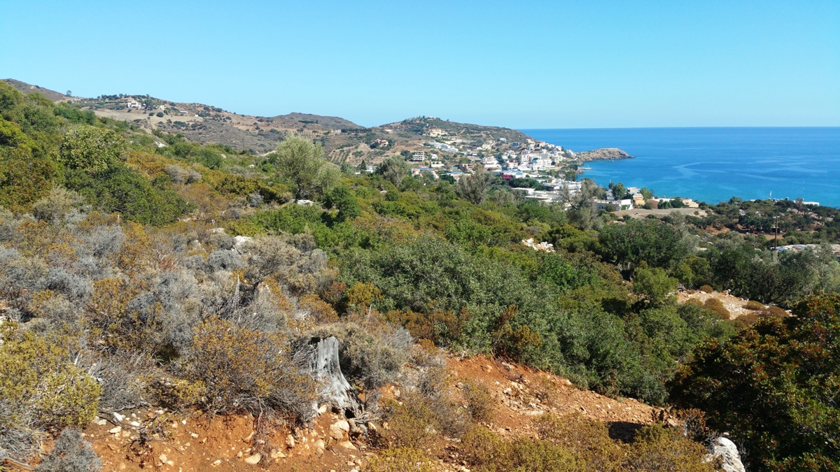 Land in Heraklion, Greece, 15 000 m² - picture 5