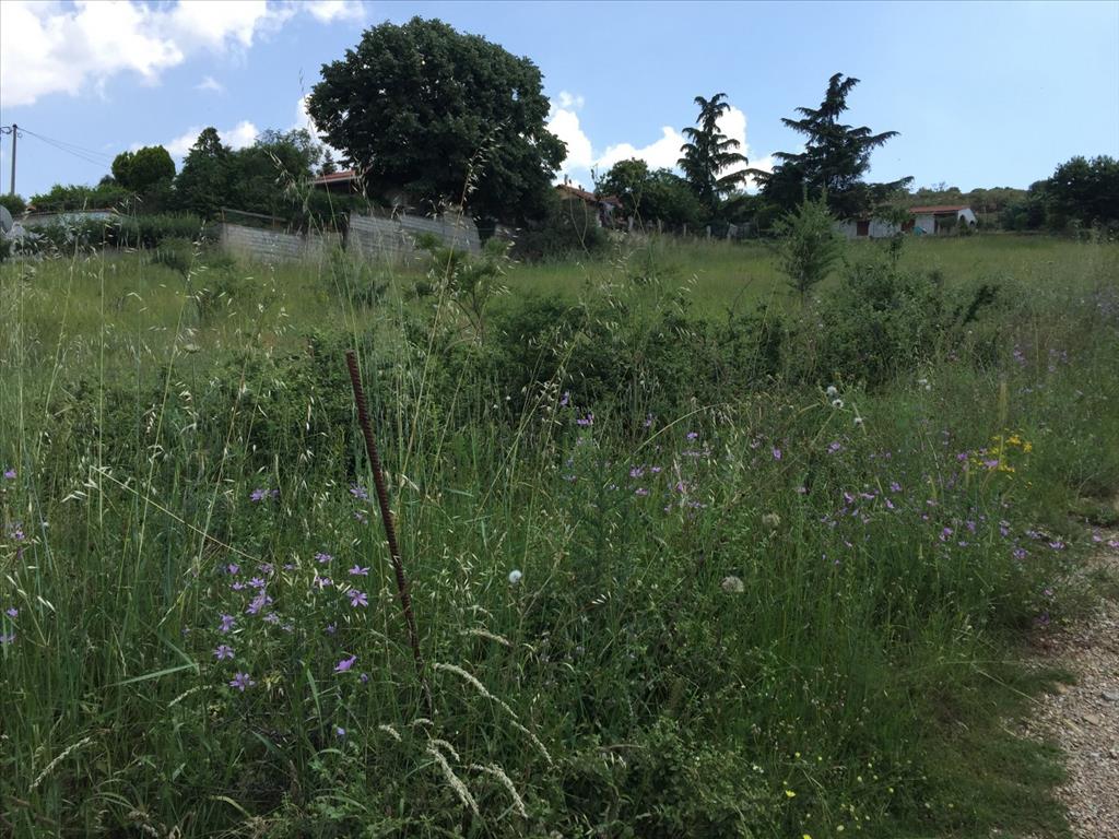 Grundstück in Thessaloniki, Griechenland, 2 750 m² - Foto 5