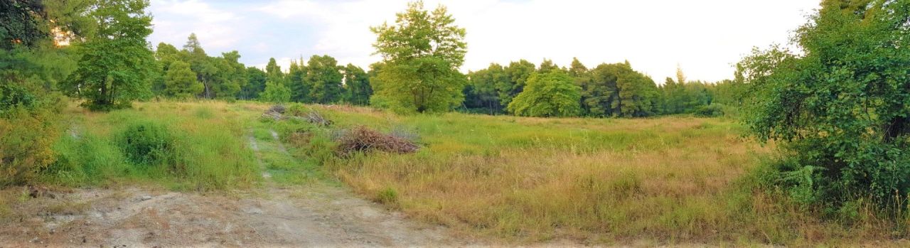 Grundstück in Sithonia, Griechenland, 19 895 m² - Foto 5