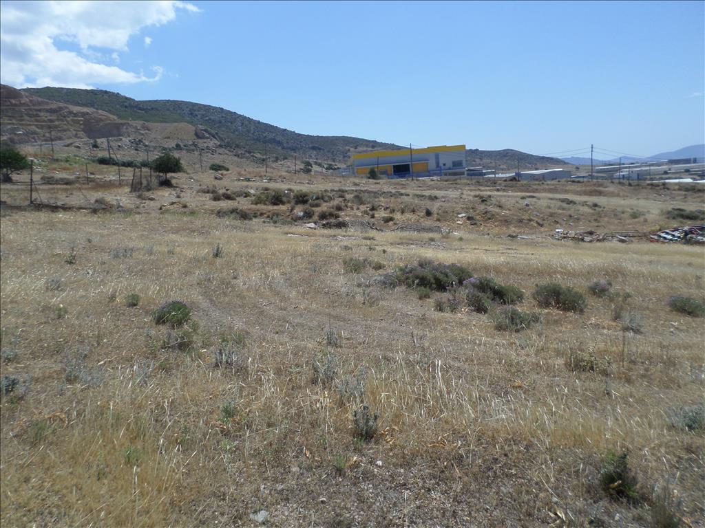 Terreno en Atenas, Grecia, 22 000 m² - imagen 5