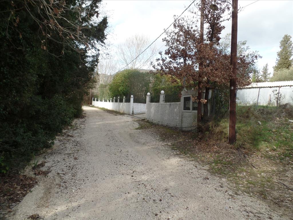 Terreno en Corfú, Grecia, 35 000 m² - imagen 5