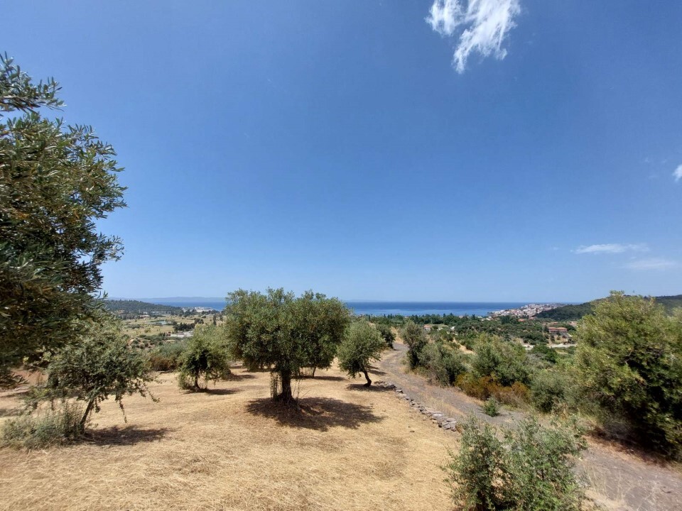 Grundstück in Sithonia, Griechenland, 3 500 m² - Foto 5