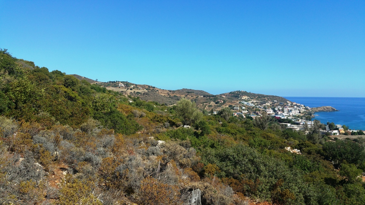 Land in Heraklion, Greece, 15 000 m² - picture 6