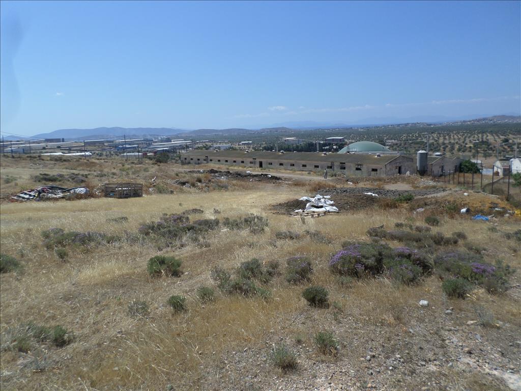 Terreno en Atenas, Grecia, 22 000 m² - imagen 6